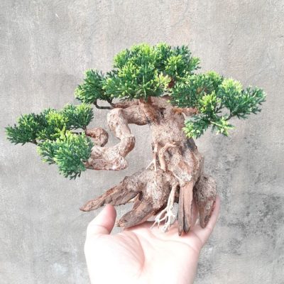 Lũa bonsai trang trí hồ cá